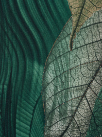 Шарф Regina Notte модель 4000000177816 Фото