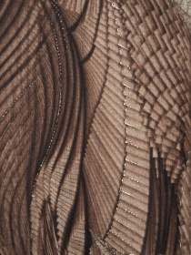 Шарф Regina Notte модель 4000000152783 Фото