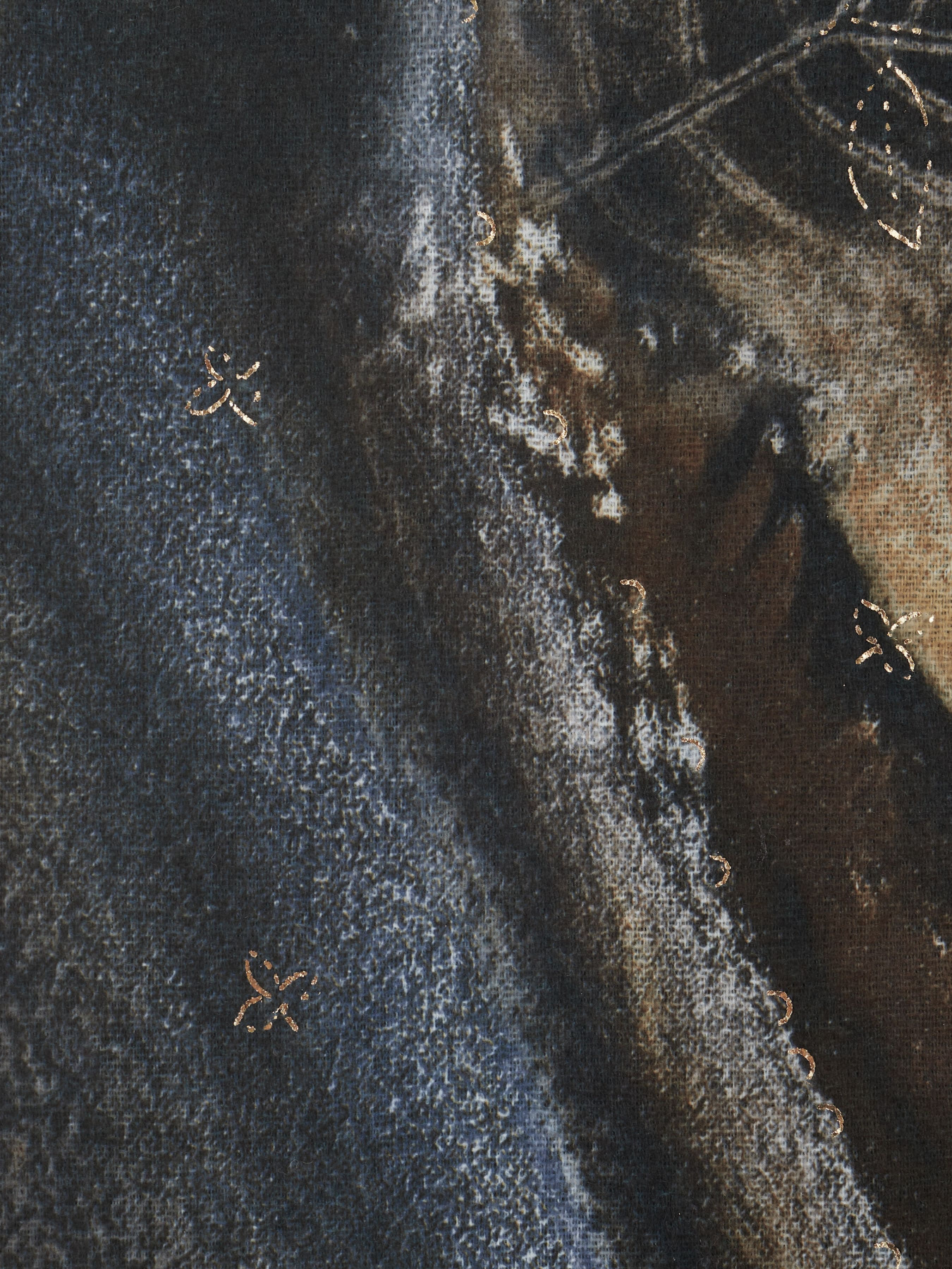 Шарф Regina Notte модель 4000000149929 Фото