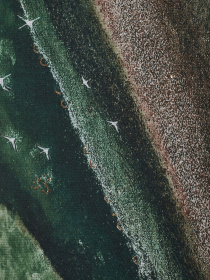 Шарф Regina Notte модель 4000000158471 Фото