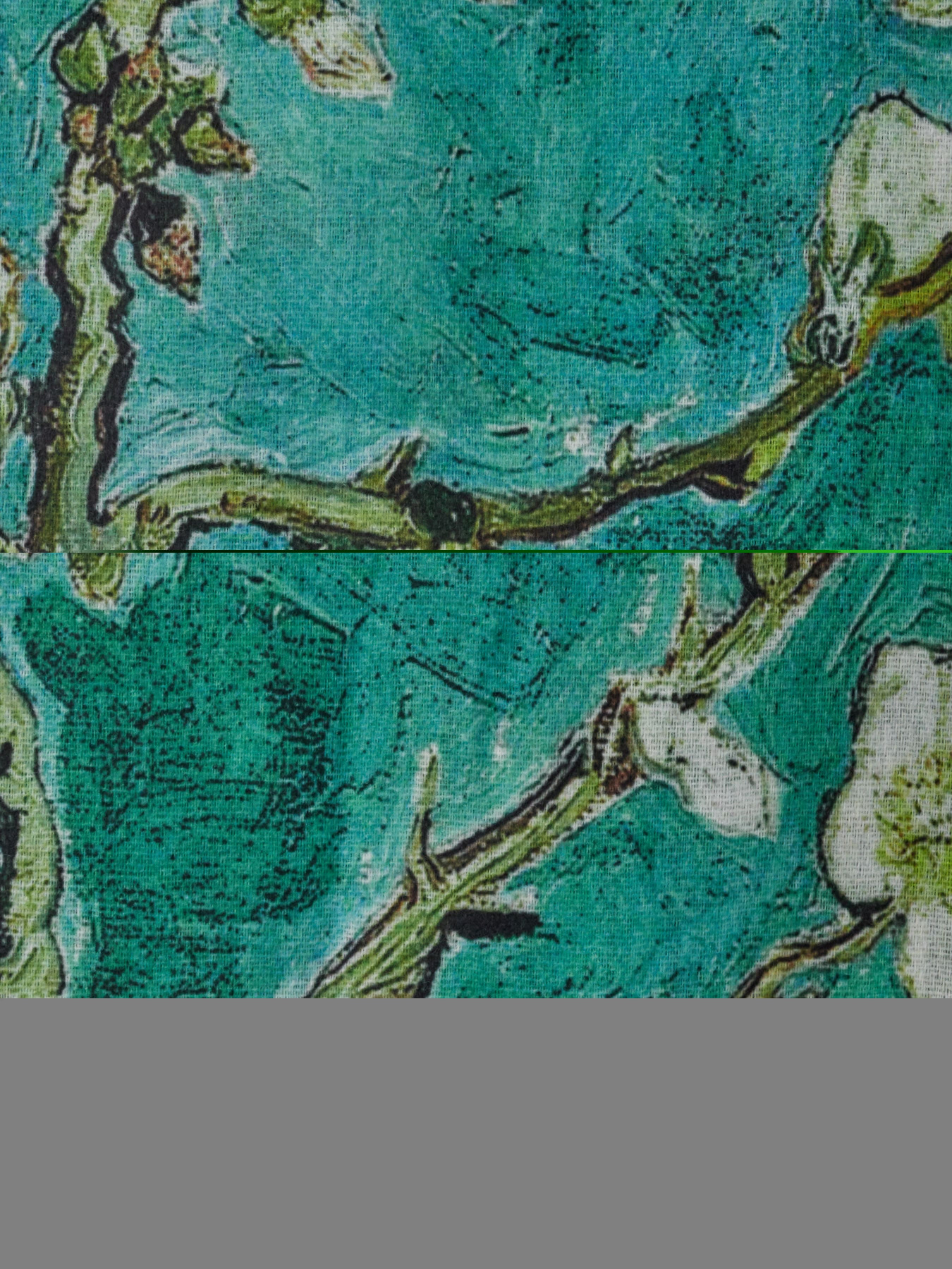 Шарф Regina Notte модель 4000000154374 Фото