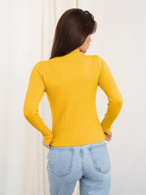 Водолазка ISSA Plus модель WN20-329_mustard Водолазка ISSA Plus модель WN20-329_mustard Фото