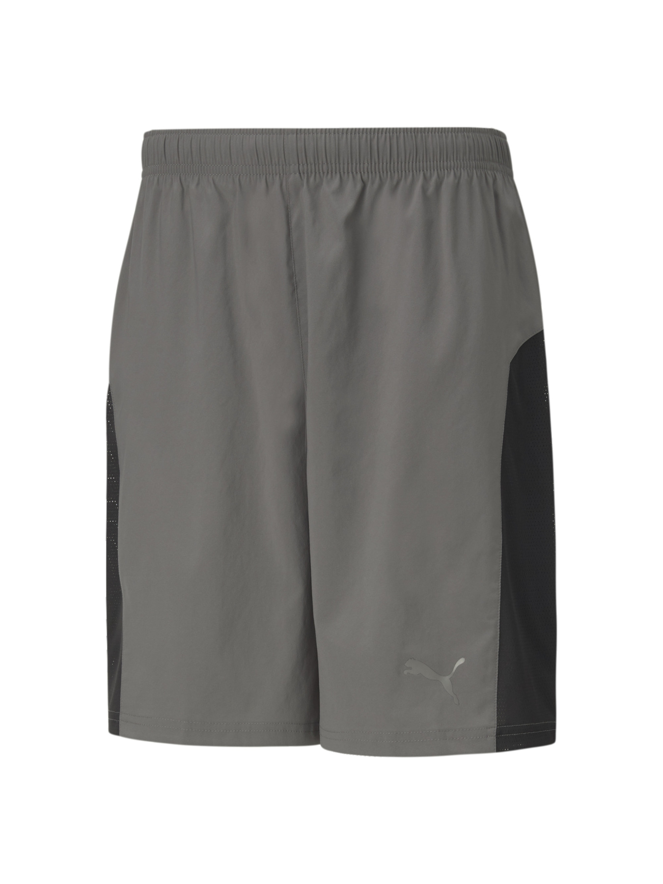Шорты спортивные PUMA модель 520138 Фото
