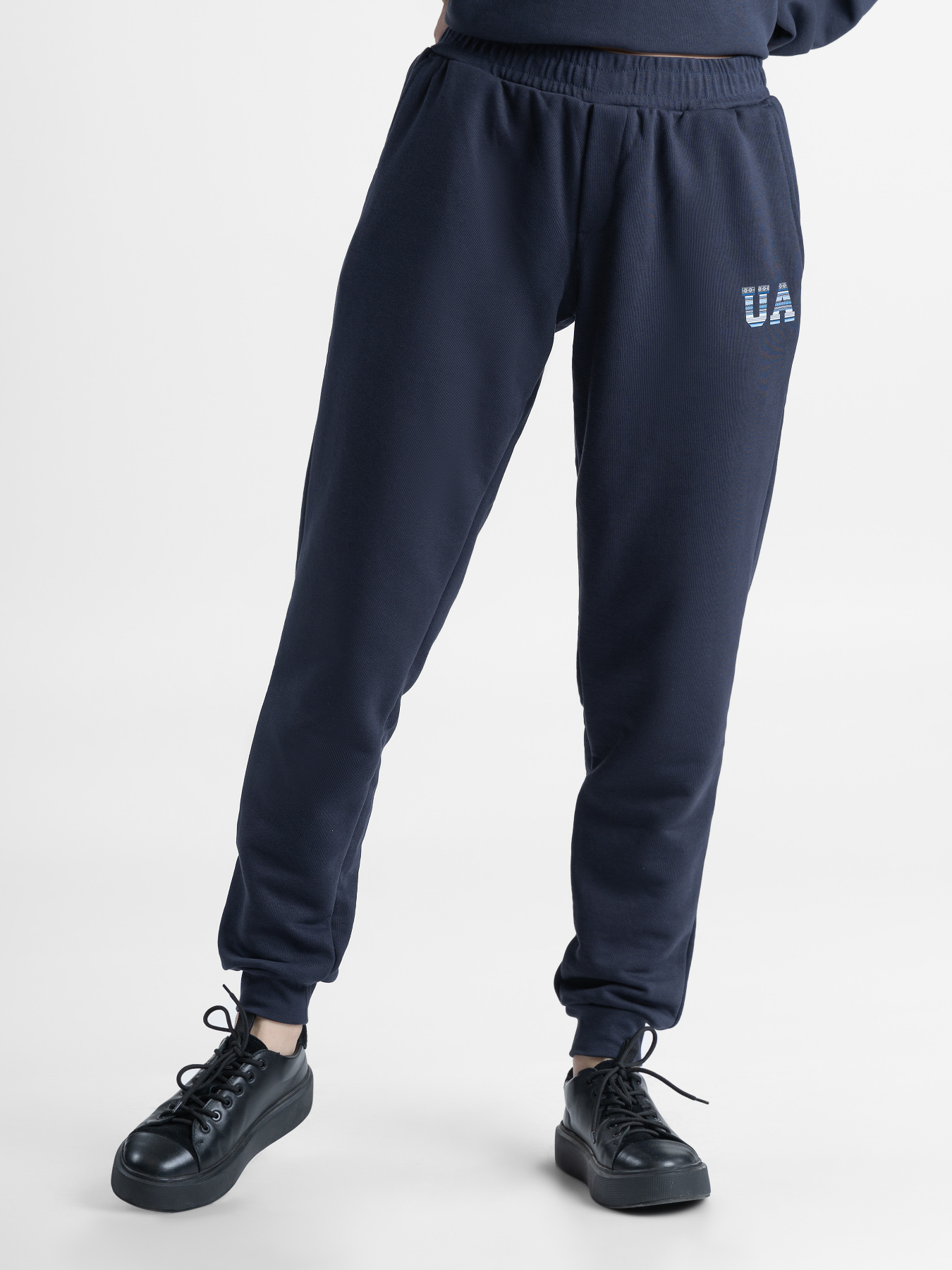 Штаны спортивные Arber модель F26.04.09.232 Фото