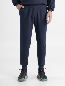 Штаны спортивные Arber модель F26.04.09.232 Фото