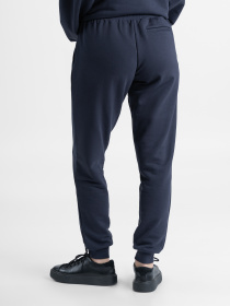 Штаны спортивные Arber модель F26.04.09.232 Фото