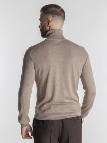 Водолазка Arber модель M10.18.16.231 Фото