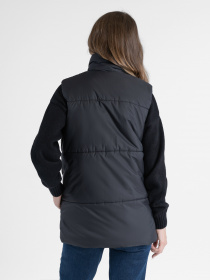 Утеплений жилет Arber модель W08.02.02.232 Фото