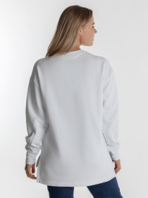 Свитшот Arber модель W17.07.00.210 Фото