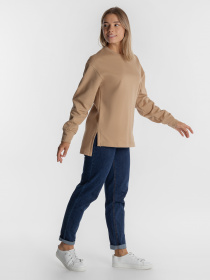 Свитшот Arber модель W17.09.16.230 Фото