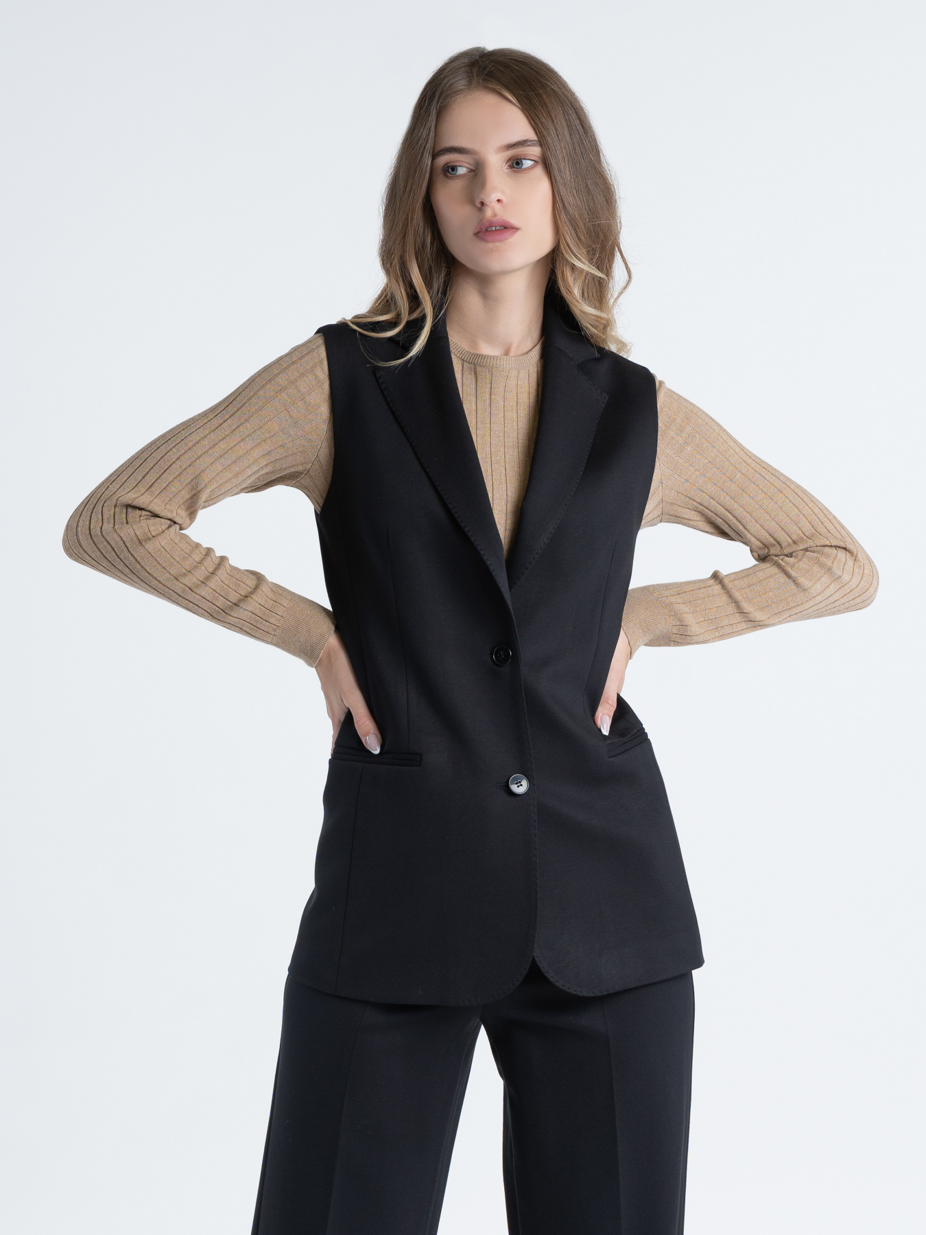 Классический жилет Arber модель W20.03.02.233 Классический жилет Arber модель W20.03.02.233 Фото