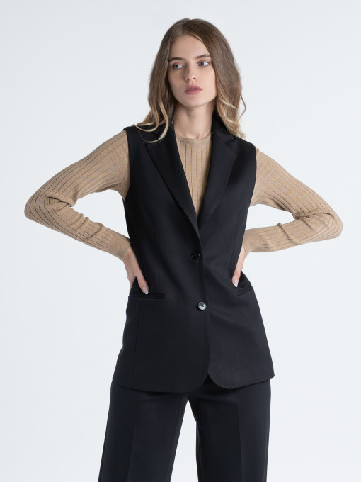 Классический жилет Arber модель W20.03.02.233 Фото