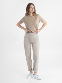 Повсякденні штани Arber модель W01.17.16.213 Фото