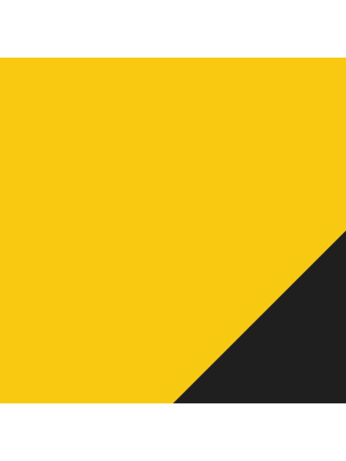 М'ячі PUMA ftblPLAY Big Cat Ball модель 083292 Фото