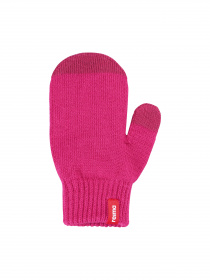 Варежки REIMA модель 527305-4650 Фото