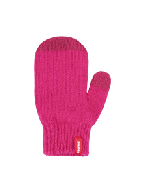 Рукавиці REIMA модель 527305-4650 Рукавиці REIMA модель 527305-4650 Фото