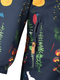 Комбинезоны REIMA модель 510306-6985 Комбинезоны REIMA модель 510306-6985 Фото