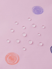 Демисезонная куртка REIMA модель 521634W-4013 Фото