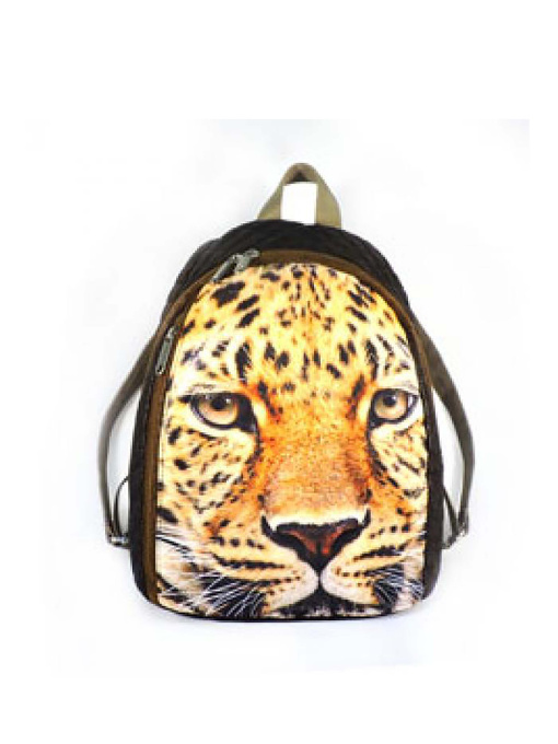 Рюкзак Episode модель AfricaE15S011.15Brown Фото