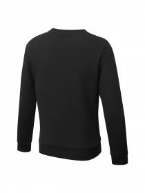 Свитшот PUMA Boys Ess Crew Sweat Fl модель 847595 Фото