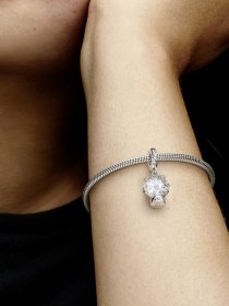 Класичні PANDORA модель 792369C01 Фото