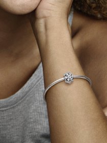 Класичні PANDORA Модель 792383C01 Фото