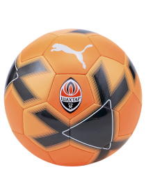 Мячи PUMA FCSD Cage Ball модель 083815 Фото