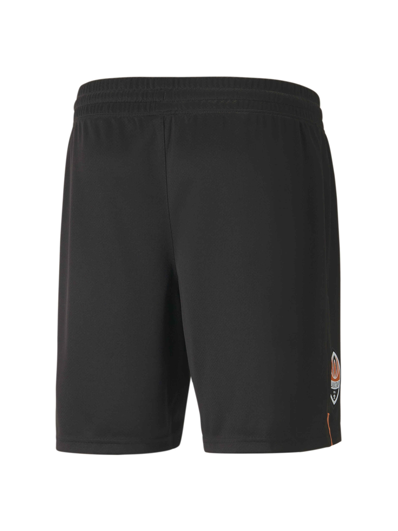 Шорты спортивные PUMA Fcsd Shorts Replica модель 765639 Фото