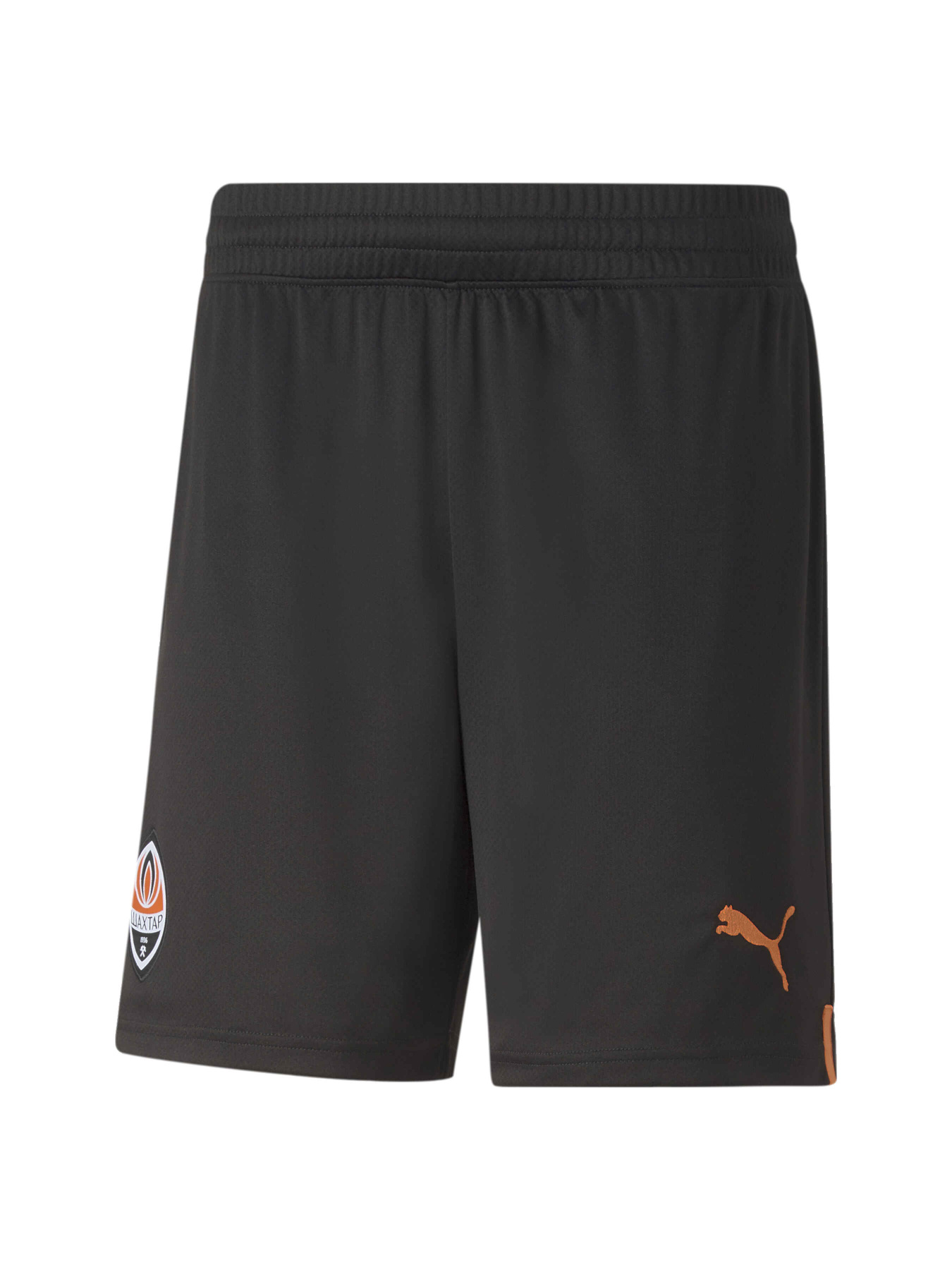 Шорты спортивные PUMA Fcsd Shorts Replica модель 765639 Фото