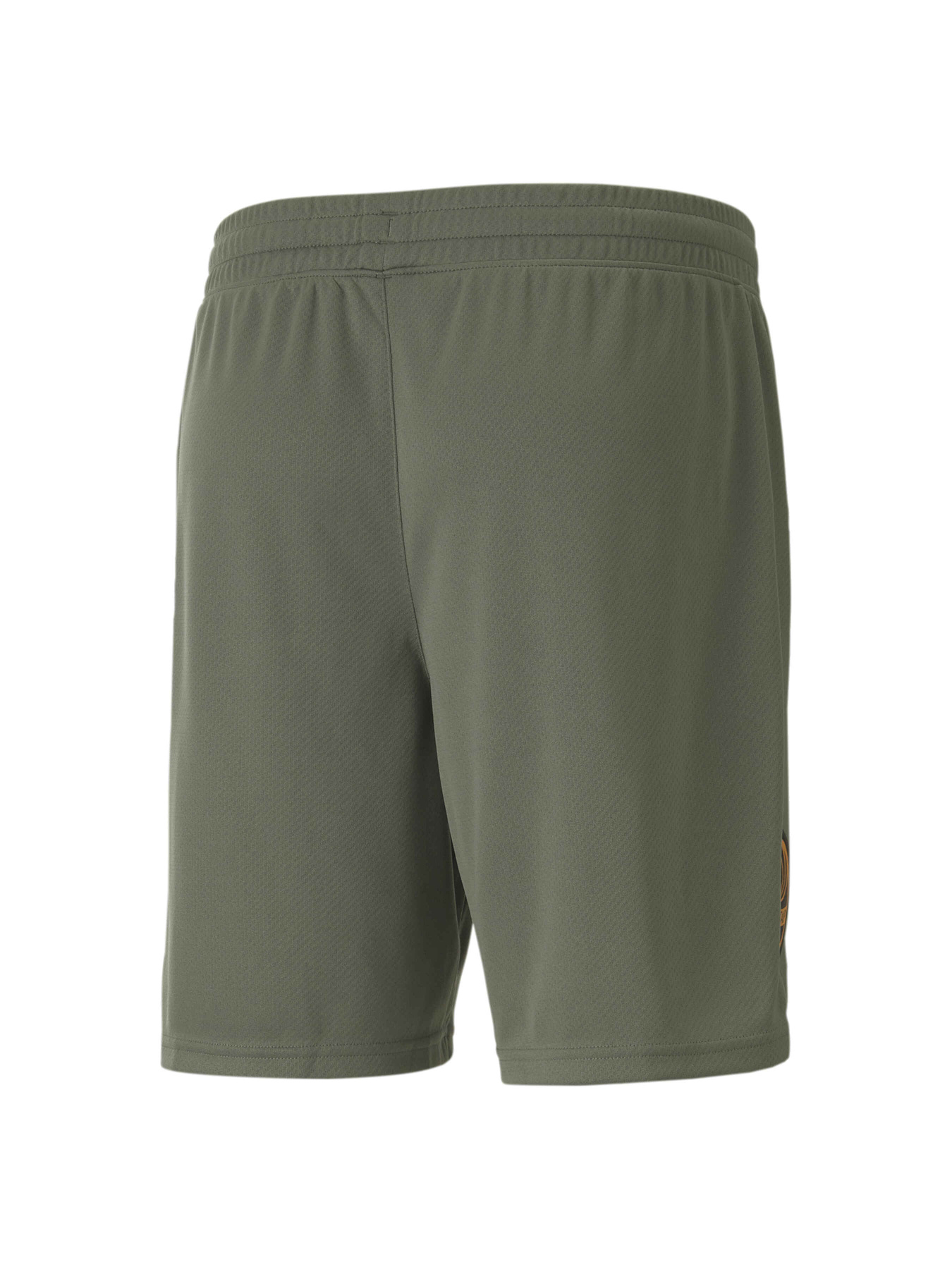 Шорты спортивные PUMA Fcsd Shorts Replica модель 765639 Фото