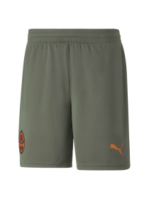 Шорты спортивные PUMA Fcsd Shorts Replica модель 765639 Фото