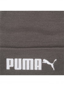 Шапка PUMA Ess Beanie No. 2 модель 022887 Шапка PUMA Ess Beanie No. 2 модель 022887 Фото