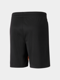 Шорты спортивные PUMA Fcsd Training Shorts модель 767246 Фото