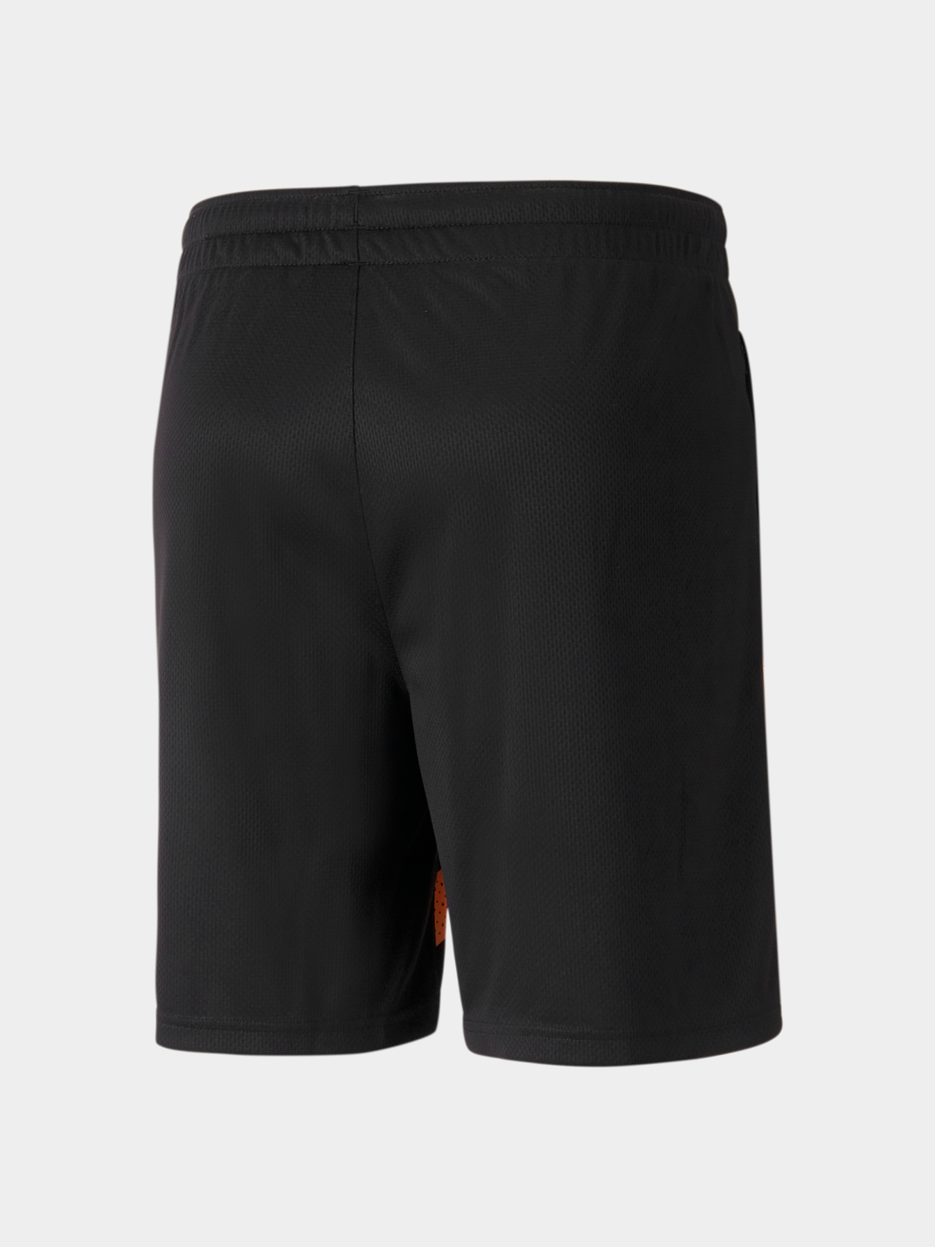 Спортивні шорти PUMA Fcsd Training Shorts модель 767246 Фото