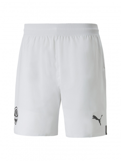 Шорты спортивные PUMA Fcsd Shorts Promo модель 765637 Фото