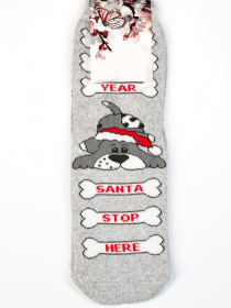 Носки ISSA Plus модель NS-153_grey Фото