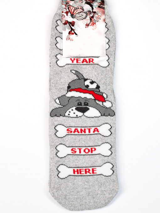 Шкарпетки ISSA Plus модель NS-153_grey Фото