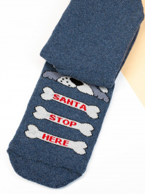 Шкарпетки ISSA Plus модель NS-153_blue Фото