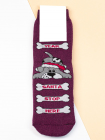 Носки ISSA Plus модель NS-153_purple Фото