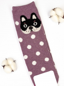 Шкарпетки ISSA Plus модель NS-162_lilac Фото