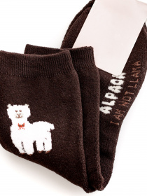 Носки ISSA Plus модель NS-164_brown Фото