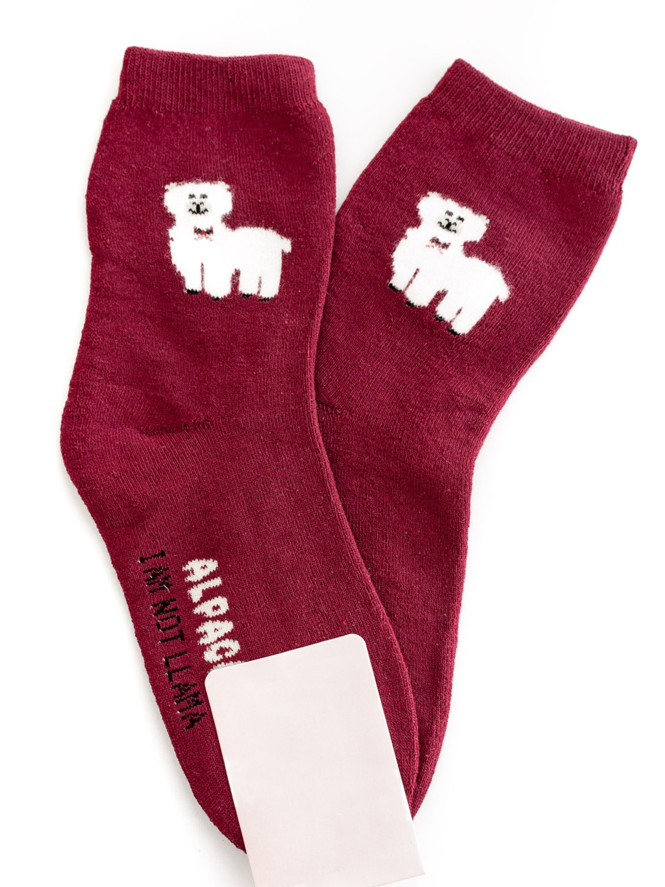 Носки ISSA Plus модель NS-165_burgundy Фото