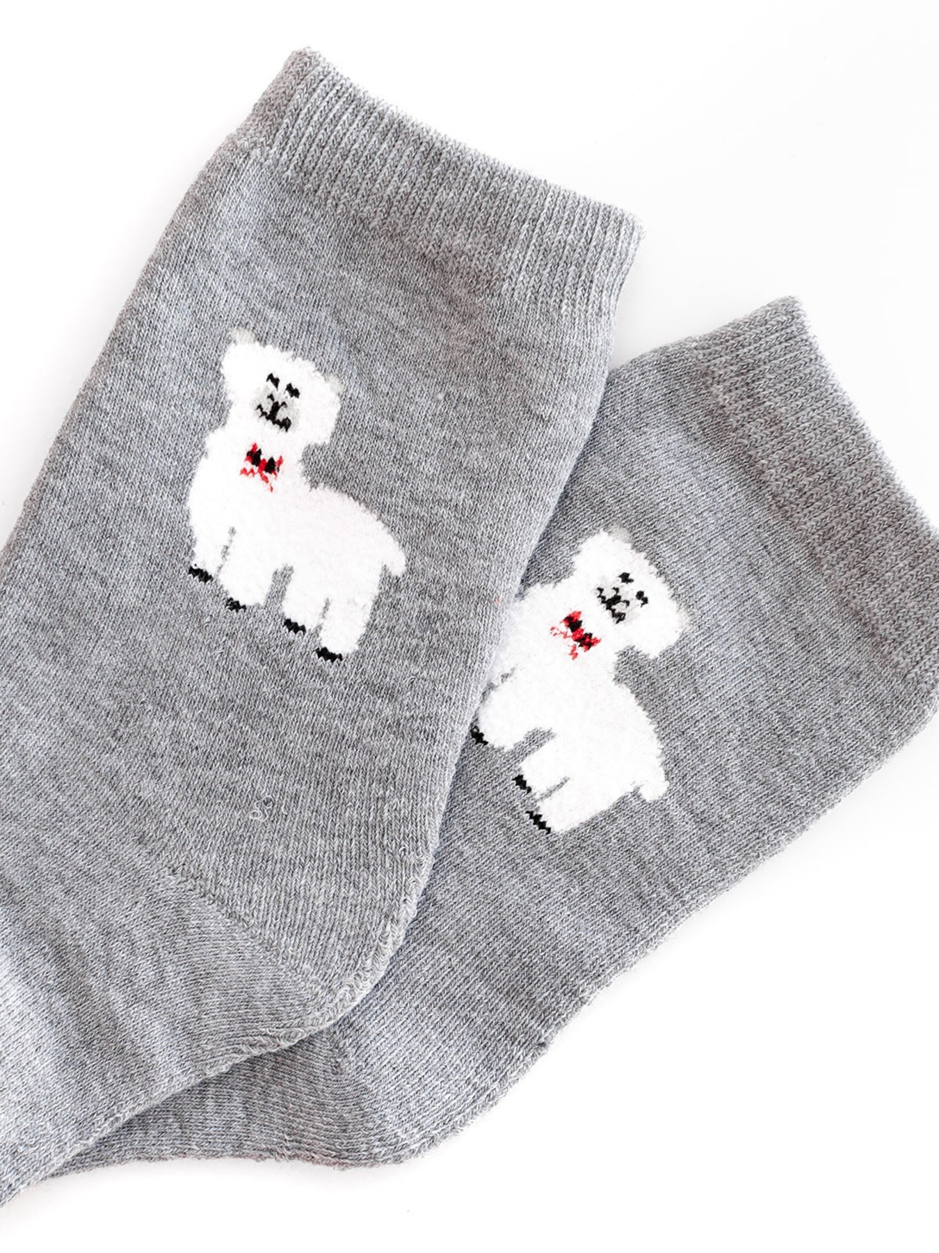 Шкарпетки ISSA Plus модель NS-165_grey Шкарпетки ISSA Plus модель NS-165_grey Фото