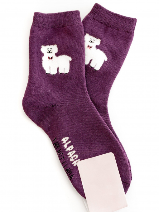 Носки ISSA Plus модель NS-165_purple Фото