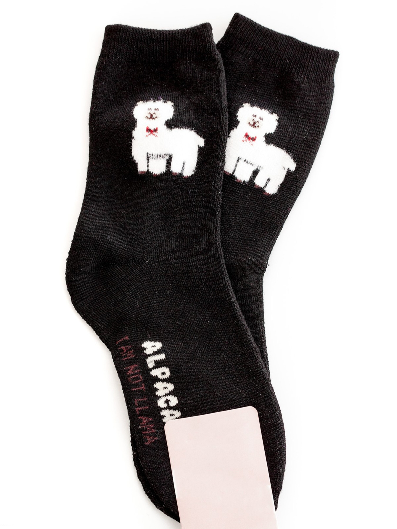 Шкарпетки ISSA Plus модель NS-165_black Фото