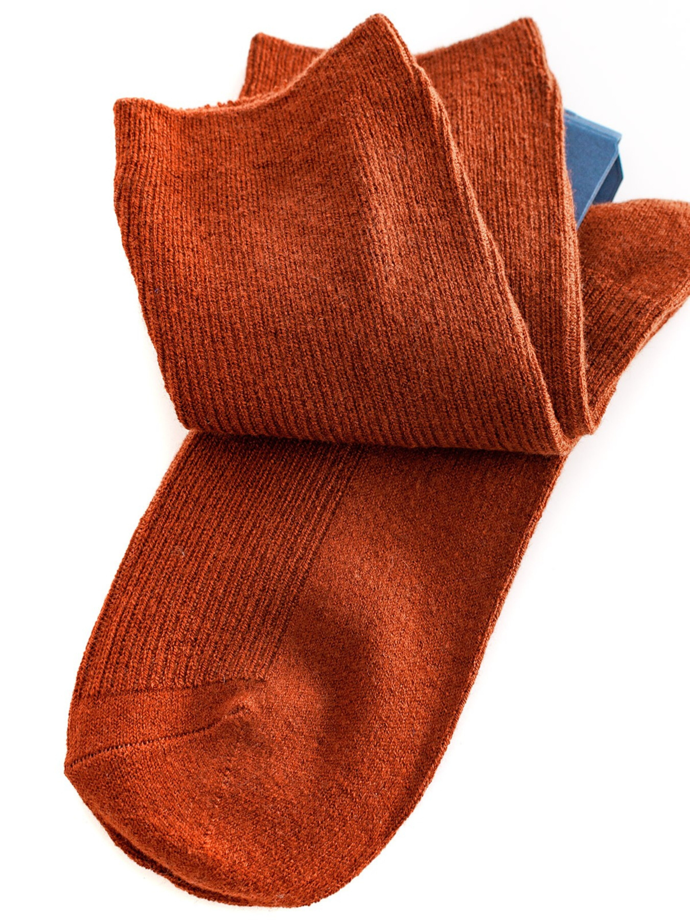 Шкарпетки ISSA Plus модель NS-167_brown Фото