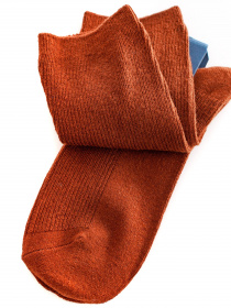 Шкарпетки ISSA Plus модель NS-167_brown Фото