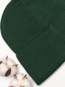 Шапка ISSA Plus модель SH-11_green Фото