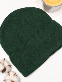 Шапка ISSA Plus модель SH-11_green Фото