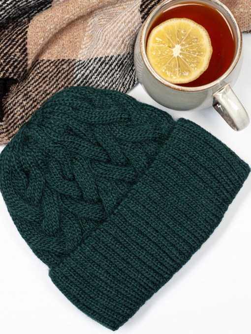 Шапка ISSA Plus модель SH-16_green Фото